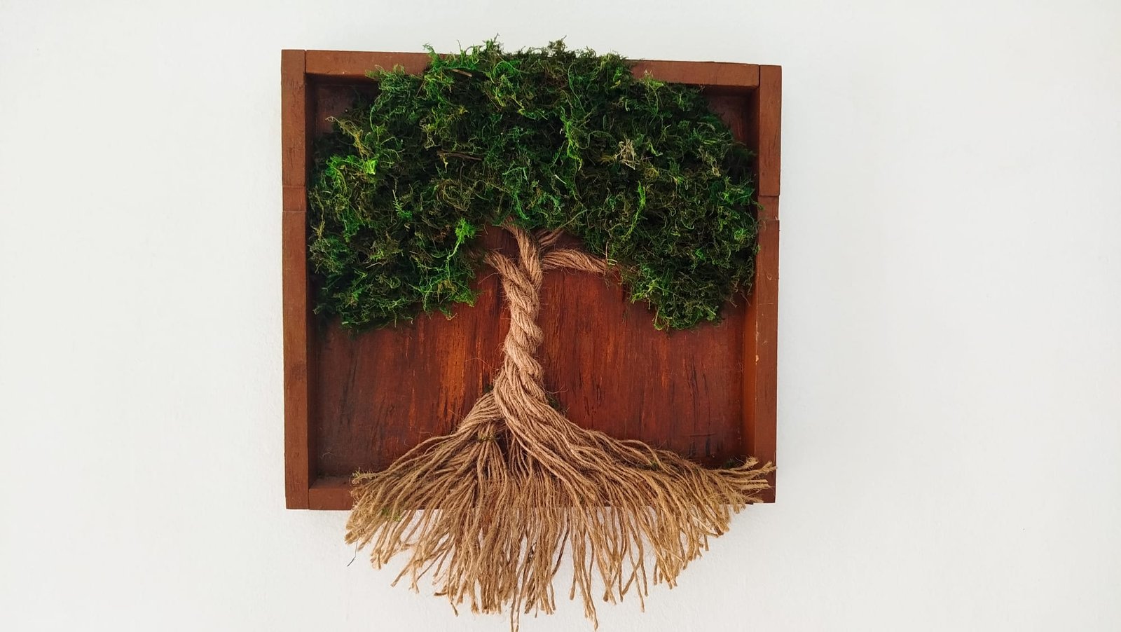 Moldura de madeira com copa de musgo e raízes de corda, montada numa parede branca
